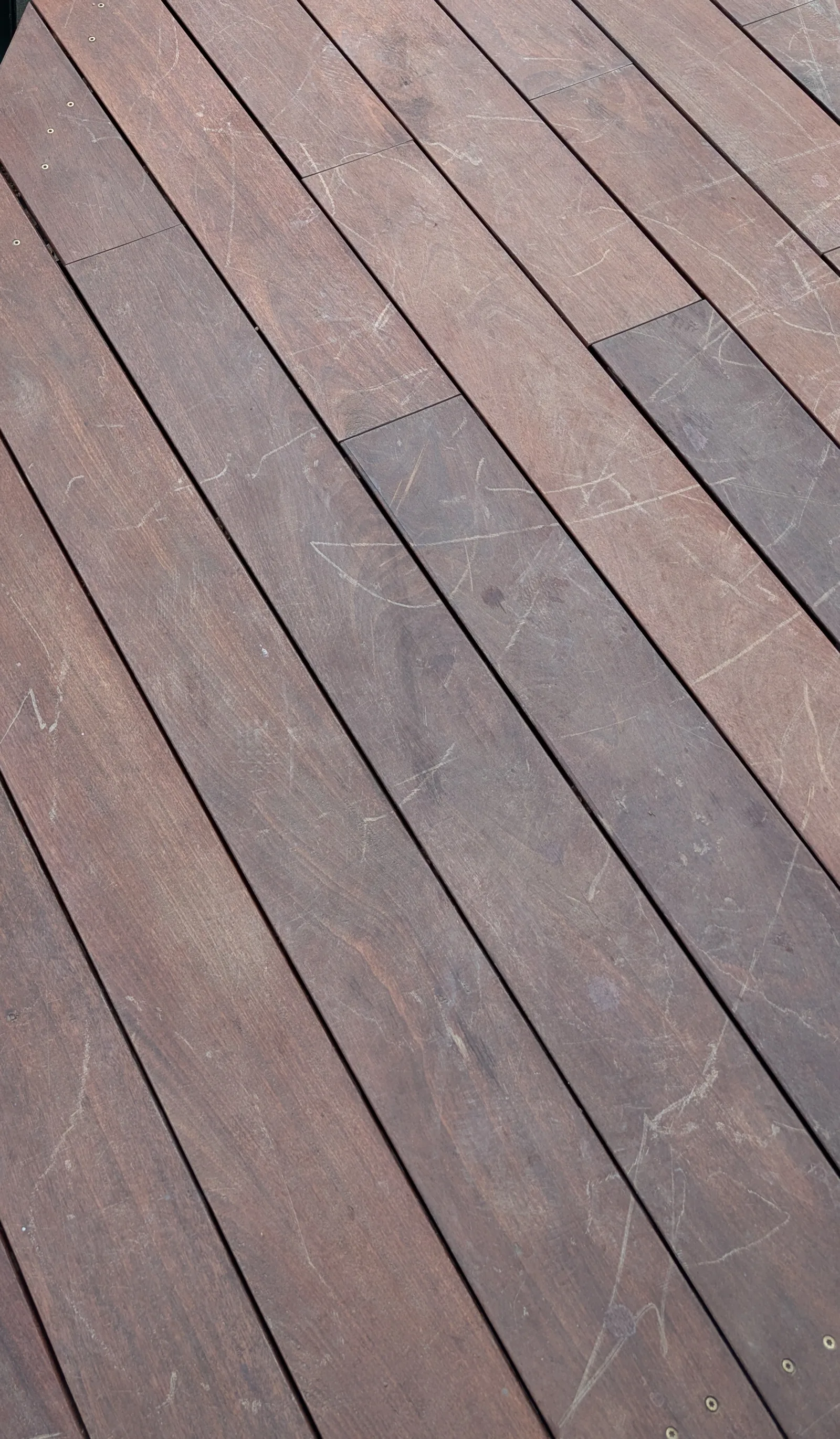 Newly laid hardwood decking boards with visible fastener rows